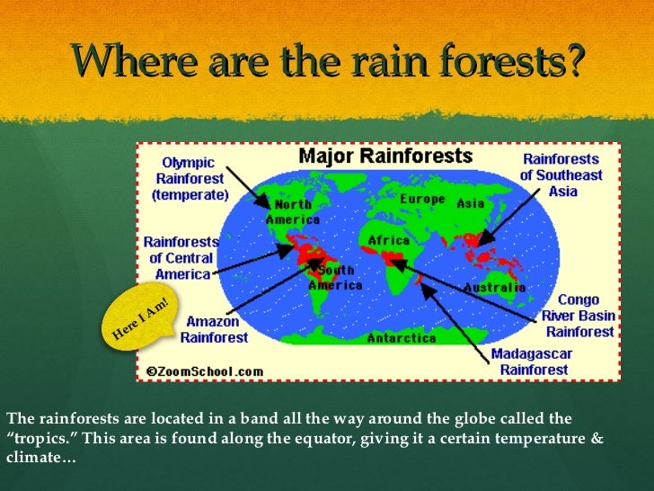 rainforests powerpoint