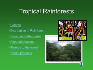 Tropical Rainforests
•Climate
•Distribution of Rainforest
•Structure of the Forest
•Plant adaptations
•Threats to the forest
•Useful products
 