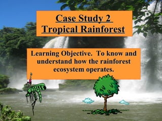 Case Study 2  Tropical Rainforest   Learning Objective.  To know and understand how the rainforest ecosystem operates. 