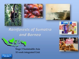 Stage 3 Sustainable Asia
10 week integrated Unit
Click to view this
PPT online
 
