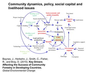 CFG
success
Social stratification
Capacity building
Socio-economic and
gender inequality
Project timeframe
+
Benefits
+
Land and forest
productivity
+
+
Cohesion
Conflict Motivation
Material assistance
Government
support
Patronage Corruption
Intra-CFG
governance
Property
rights
Extra-legal tenure
mechanisms
Tree tenure
Land tenure
+
--
-- +
+
--
--
Extra-CFG
governance
++
--
+
+
+
+
+
Legislative support
Practical
assistance
+
+
--
+
+
+
Bonding social
capital
Bridging social
capital
Participation
+
--
+
+
Harvest rights
+
+
+
+
Bonding social
capital
Bonding social
capital
Bonding social
capital
Community dynamics, policy, social capital and
livelihood issues
Baynes, J., Herbohn, J., Smith, C., Fisher,
R., and Bray, D. (2015). Key Drivers
Affecting the Success of Community
Forestry in Developing Countries,
Global Environmental Change
Technology
+
 