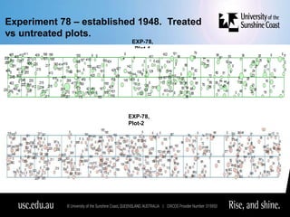 EXP-78,
Plot-1
EXP-78,
Plot-2
Experiment 78 – established 1948. Treated
vs untreated plots.
 