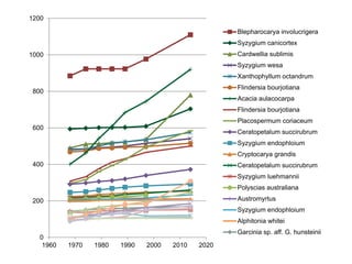 0
200
400
600
800
1000
1200
1960 1970 1980 1990 2000 2010 2020
Blepharocarya involucrigera
Syzygium canicortex
Cardwellia sublimis
Syzygium wesa
Xanthophyllum octandrum
Flindersia bourjotiana
Acacia aulacocarpa
Flindersia bourjotiana
Placospermum coriaceum
Ceratopetalum succirubrum
Syzygium endophloium
Cryptocarya grandis
Ceratopetalum succirubrum
Syzygium luehmannii
Polyscias australiana
Austromyrtus
Syzygium endophloium
Alphitonia whitei
Garcinia sp. aff. G. hunsteinii
 