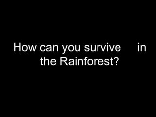 How can you survive  in the Rainforest? 