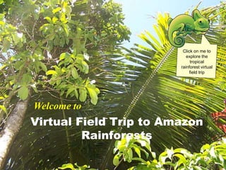 Virtual Field Trip to Amazon 
Rainforests 
Click on me to 
explore the 
tropical 
rainforest virtual 
field trip 
Welcome to 
 