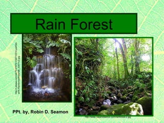 PPt. by, Robin D. Seamon http://www.casarioblanco.com/rainforest-2.jpg Rain Forest http://i.pbase.com/o6/75/47975/1/58710314.poH3mwH5.RainforestWaterfall_33571v2.jpg 