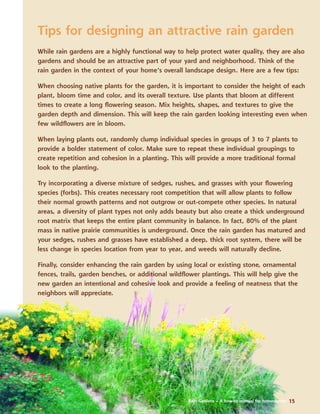 Rain Gardens – A how-to manual for homeowners 15
Tips for designing an attractive rain garden
While rain gardens are a highly functional way to help protect water quality, they are also
gardens and should be an attractive part of your yard and neighborhood. Think of the
rain garden in the context of your home’s overall landscape design. Here are a few tips:
When choosing native plants for the garden, it is important to consider the height of each
plant, bloom time and color, and its overall texture. Use plants that bloom at different
times to create a long ﬂowering season. Mix heights, shapes, and textures to give the
garden depth and dimension. This will keep the rain garden looking interesting even when
few wildﬂowers are in bloom.
When laying plants out, randomly clump individual species in groups of 3 to 7 plants to
provide a bolder statement of color. Make sure to repeat these individual groupings to
create repetition and cohesion in a planting. This will provide a more traditional formal
look to the planting.
Try incorporating a diverse mixture of sedges, rushes, and grasses with your ﬂowering
species (forbs). This creates necessary root competition that will allow plants to follow
their normal growth patterns and not outgrow or out-compete other species. In natural
areas, a diversity of plant types not only adds beauty but also create a thick underground
root matrix that keeps the entire plant community in balance. In fact, 80% of the plant
mass in native prairie communities is underground. Once the rain garden has matured and
your sedges, rushes and grasses have established a deep, thick root system, there will be
less change in species location from year to year, and weeds will naturally decline.
Finally, consider enhancing the rain garden by using local or existing stone, ornamental
fences, trails, garden benches, or additional wildﬂower plantings. This will help give the
new garden an intentional and cohesive look and provide a feeling of neatness that the
neighbors will appreciate.
 