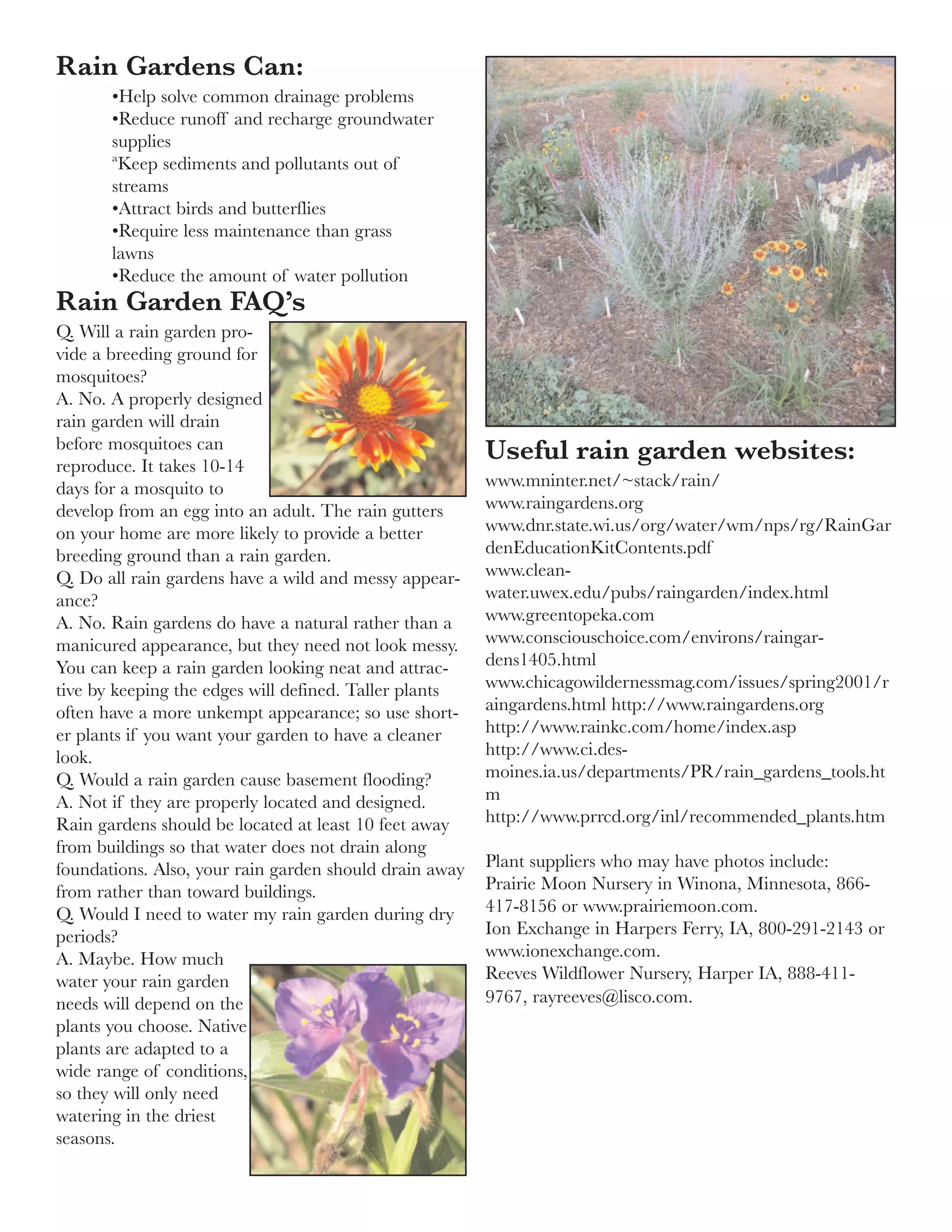 Rain Gardens Can:
       •Help solve common drainage problems
       •Reduce runoff and recharge groundwater
       supplies
       ªKeep sediments and pollutants out of
       streams
       •Attract birds and butterflies
       •Require less maintenance than grass
       lawns
       •Reduce the amount of water pollution
Rain Garden FAQ’s
Q. Will a rain garden pro-
vide a breeding ground for
mosquitoes?
A. No. A properly designed
rain garden will drain
before mosquitoes can
reproduce. It takes 10-14
                                                        Useful rain garden websites:
days for a mosquito to                                  www.mninter.net/~stack/rain/
develop from an egg into an adult. The rain gutters     www.raingardens.org
on your home are more likely to provide a better        www.dnr.state.wi.us/org/water/wm/nps/rg/RainGar
breeding ground than a rain garden.                     denEducationKitContents.pdf
Q. Do all rain gardens have a wild and messy appear-    www.clean-
ance?                                                   water.uwex.edu/pubs/raingarden/index.html
A. No. Rain gardens do have a natural rather than a     www.greentopeka.com
manicured appearance, but they need not look messy.     www.consciouschoice.com/environs/raingar-
You can keep a rain garden looking neat and attrac-     dens1405.html
tive by keeping the edges will defined. Taller plants   www.chicagowildernessmag.com/issues/spring2001/r
often have a more unkempt appearance; so use short-     aingardens.html http://www.raingardens.org
er plants if you want your garden to have a cleaner     http://www.rainkc.com/home/index.asp
look.                                                   http://www.ci.des-
Q. Would a rain garden cause basement flooding?         moines.ia.us/departments/PR/rain_gardens_tools.ht
A. Not if they are properly located and designed.       m
Rain gardens should be located at least 10 feet away    http://www.prrcd.org/inl/recommended_plants.htm
from buildings so that water does not drain along
foundations. Also, your rain garden should drain away   Plant suppliers who may have photos include:
from rather than toward buildings.                      Prairie Moon Nursery in Winona, Minnesota, 866-
Q. Would I need to water my rain garden during dry      417-8156 or www.prairiemoon.com.
periods?                                                Ion Exchange in Harpers Ferry, IA, 800-291-2143 or
A. Maybe. How much                                      www.ionexchange.com.
water your rain garden                                  Reeves Wildflower Nursery, Harper IA, 888-411-
needs will depend on the                                9767, rayreeves@lisco.com.
plants you choose. Native
plants are adapted to a
wide range of conditions,
so they will only need
watering in the driest
seasons.
 