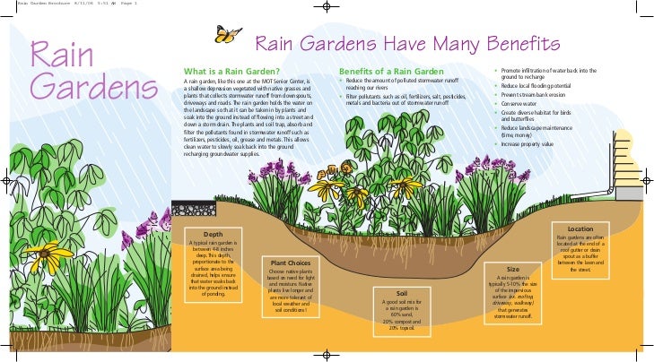 Appoquinimink River Association Rain Gardens Brochure