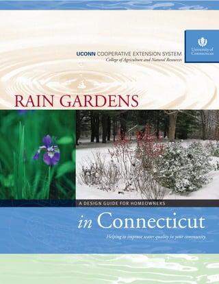 UCONN COOPERATIVE EXTENSION SYSTEM                          College of Agriculture
                  College of Agriculture and Natural Resources   and Natural Resources
                                                                 Cooperative Extension System




RAIN GARDENS




      A DE S IG N G U I DE FO R HO M EOW N E RS




      in Connecticut
                  Helping to improve water quality in your community.
 