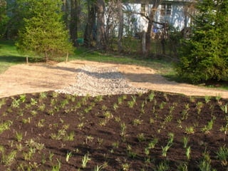 Rain Garden Construction from Frazee Gardens (April 23, 2011)