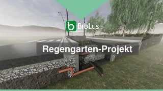 Regengarten-Projekt
 