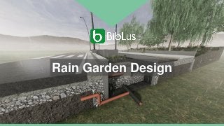 Rain Garden Design
 