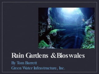 Rain Gardens & Bioswales ,[object Object],[object Object]
