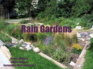 Rain Gardens Sarah J. Williams UMass Amherst Sustainable Sites- Spring 2011 