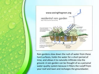 www.seeingthegreen.org

Rain gardens slow down the rush of water from these
hard surfaces, holds the water for a short period of
time, and allows it to naturally infiltrate into the
ground. A rain garden can be thought of as a personal
water quality system because it filters the runoff from
your roof and lawn and recharges the groundwater.

 