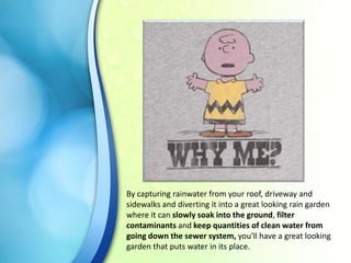 By capturing rainwater from your roof, driveway and
sidewalks and diverting it into a great looking rain garden
where it can slowly soak into the ground, filter
contaminants and keep quantities of clean water from
going down the sewer system, you'll have a great looking
garden that puts water in its place.

 