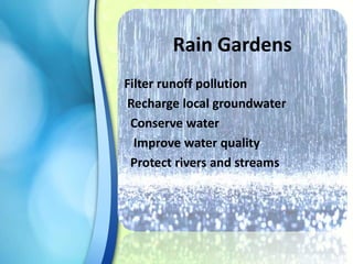 Rain Gardens
Filter runoff pollution
Recharge local groundwater
Conserve water
Improve water quality
Protect rivers and streams

 
