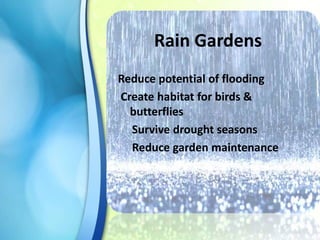 Rain Gardens
Reduce potential of flooding
Create habitat for birds &
butterflies
Survive drought seasons
Reduce garden maintenance

 