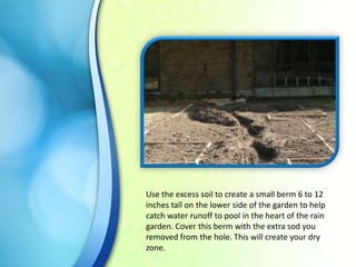 Use the excess soil to create a small berm 6 to 12
inches tall on the lower side of the garden to help
catch water runoff to pool in the heart of the rain
garden. Cover this berm with the extra sod you
removed from the hole. This will create your dry
zone.

 