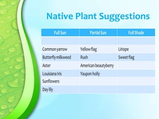 Native Plant Suggestions

 