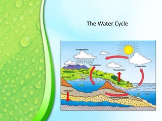 The Water Cycle

 