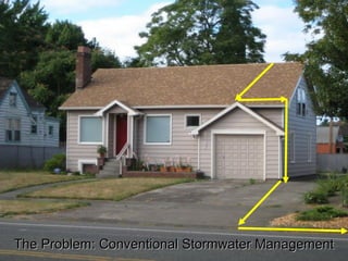 The Problem: Conventional Stormwater Management 