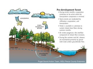 Puget Sound Action Team, WSU Pierce County Extension 