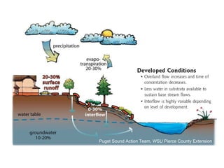 Puget Sound Action Team, WSU Pierce County Extension 