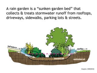 A rain garden is a “sunken garden bed” that collects & treats stormwater runoff from rooftops, driveways, sidewalks, parking lots & streets.  Graphic: EMSWCD 