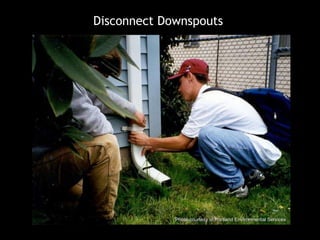Disconnect Downspouts Photo courtesy of Portland Environmental Services 