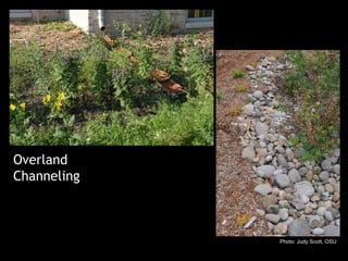 Overland Channeling  Photo: Judy Scott, OSU 