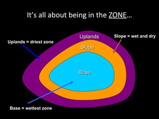 It’s all about being in the  ZONE … Slope Base Uplands = driest zone Base = wettest zone Slope = wet and dry Uplands 