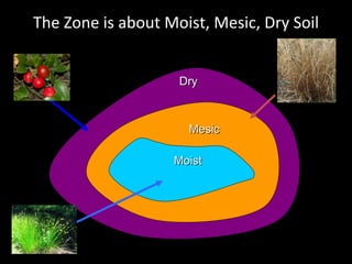 The Zone is about Moist, Mesic, Dry Soil Mesic Moist Dry 