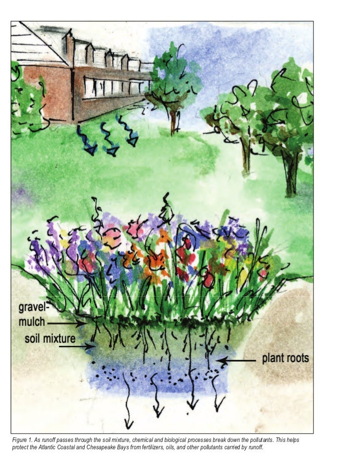 Maryland Rain Garden Manual