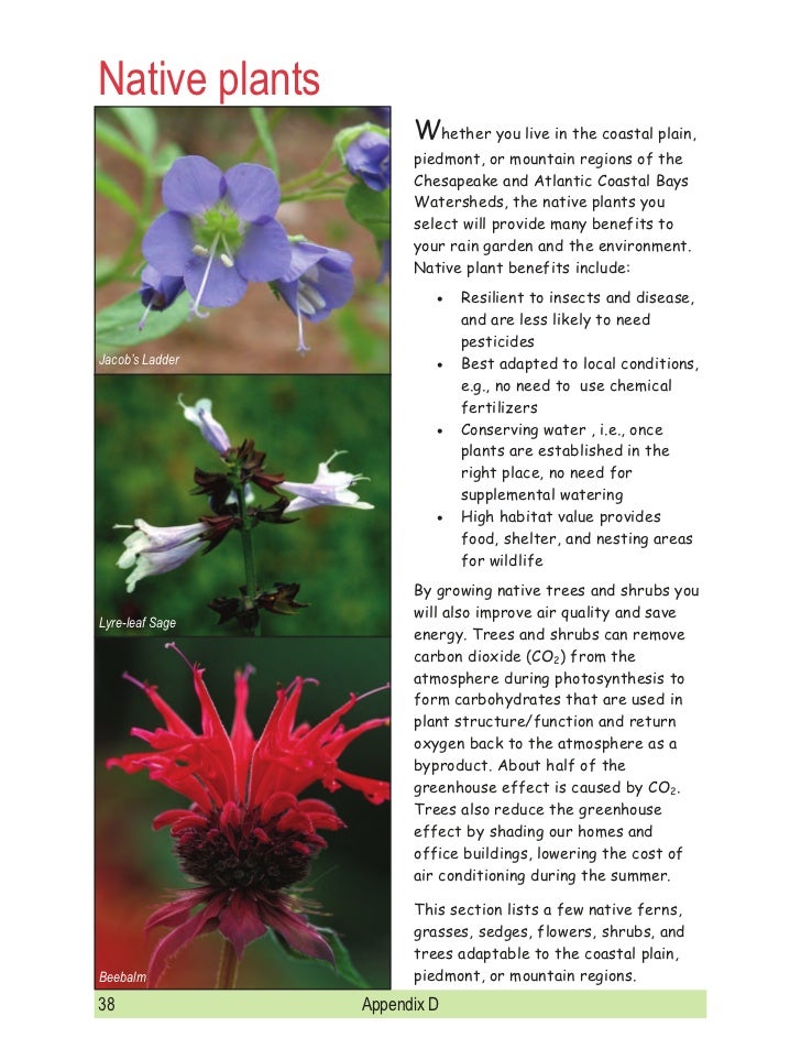 Maryland Rain Garden Manual