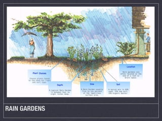 Location

                                                                                           Rain gardens are
           Plant Choices                                                                 often located at the
                                                                                           end of a roof or
        Choose plants based                                                                  drain spout.
       on the need for light
           and soil type.
                                  Depth                    Size                   Soil

                                                   A Rain Garden usually   A tpical mix is 65%
                           A typical Rain Garden
                                                    five to ten percent    sand, 15% top soil,
                             is between four to
                                                     of the impervious     25% organic matter.
                             eight inches deep.
                                                       surface area.




RAIN GARDENS
 