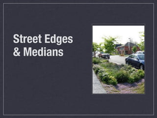 Street Edges
& Medians
 
