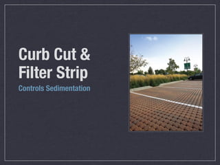 Curb Cut &
Filter Strip
Controls Sedimentation
 