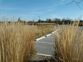 Sustainable Site Development: Rain Garden & Bioswale Construction(Chicago, March 2011)