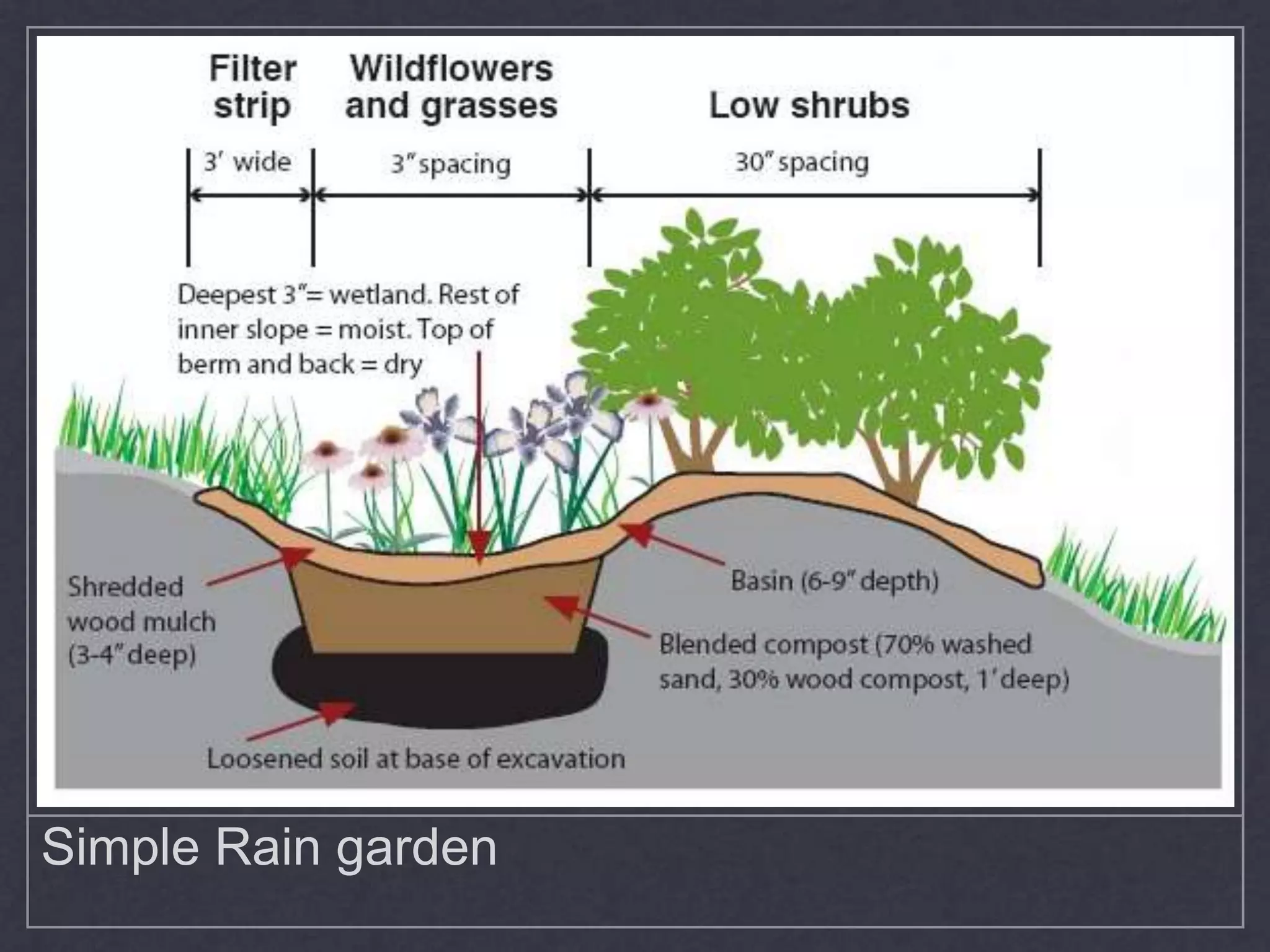 Simple Rain garden