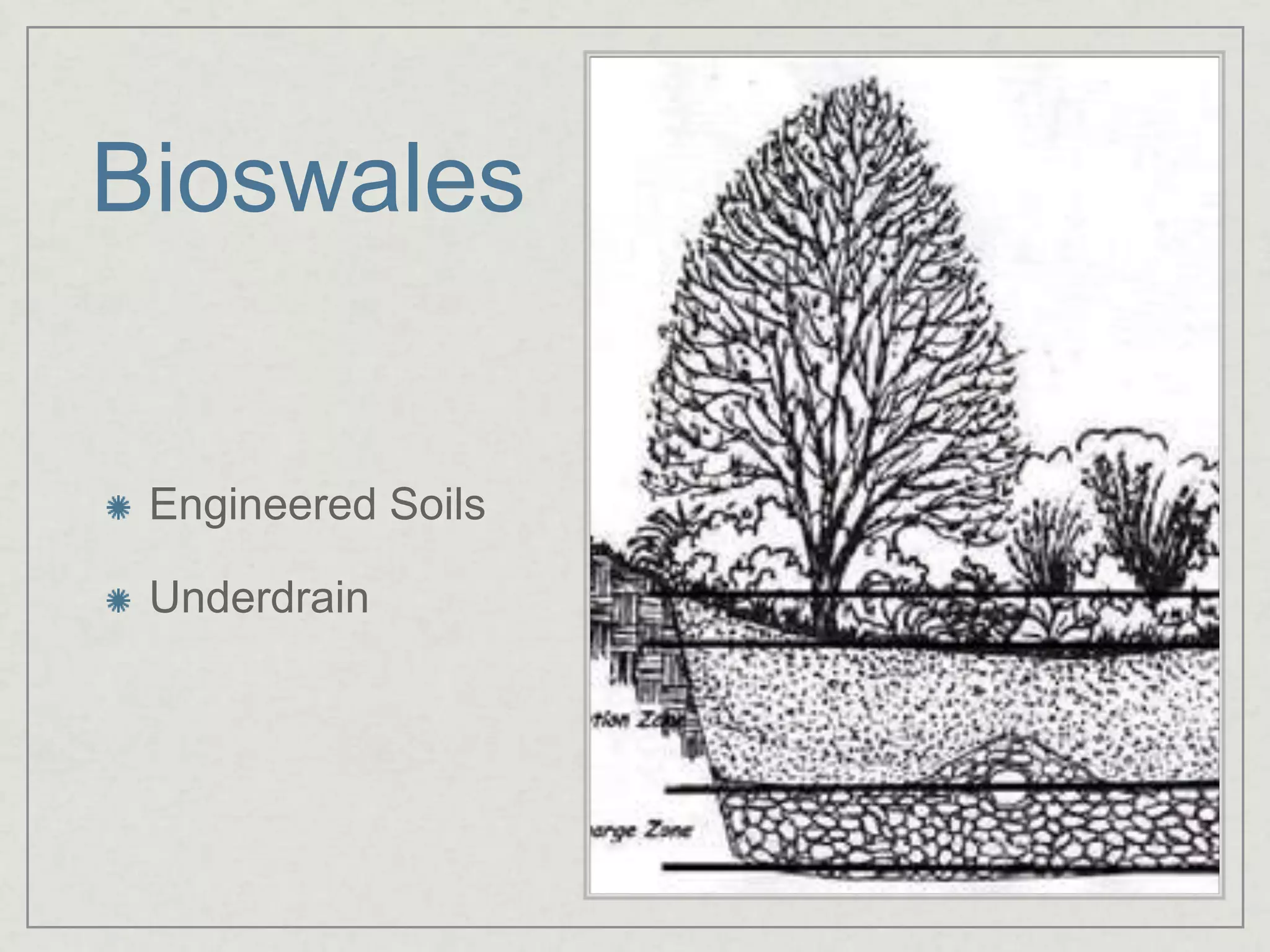 BioswalesEngineered SoilsUnderdrain