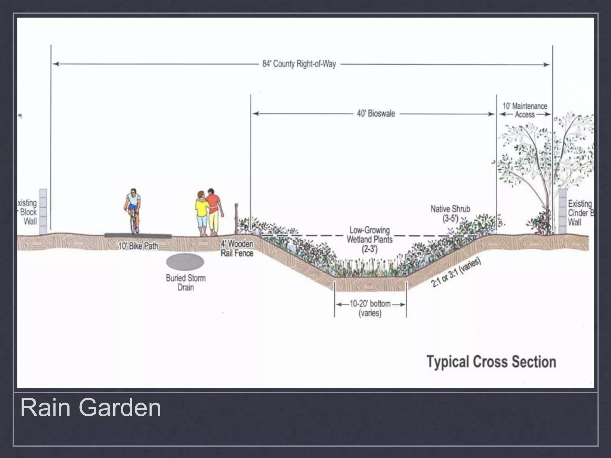 Rain Garden