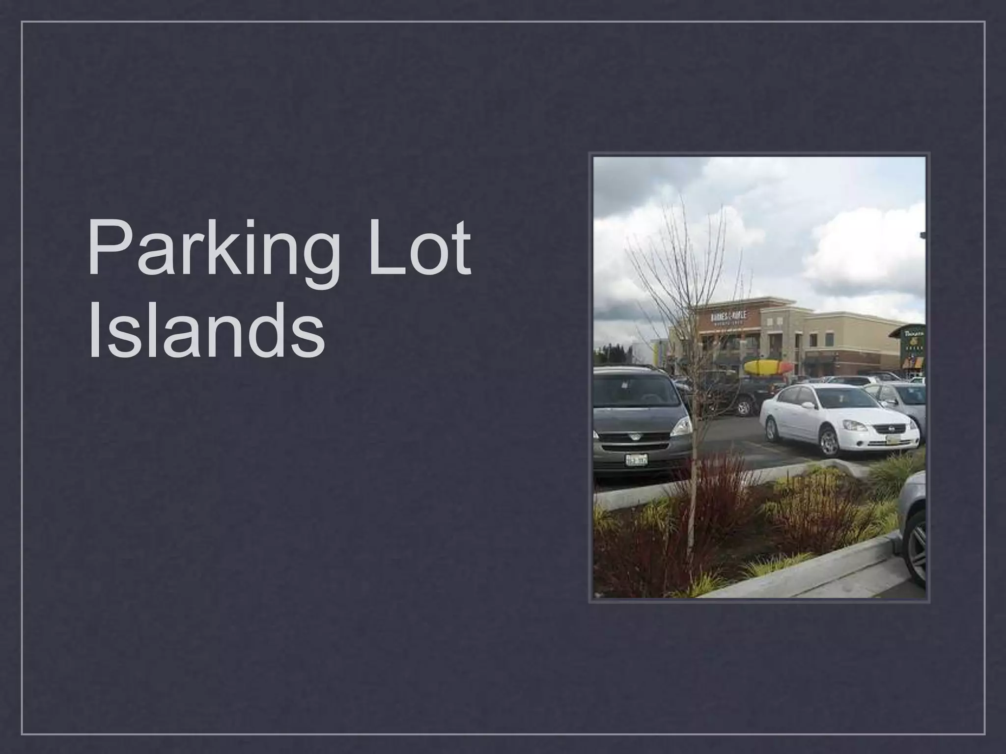 Parking Lot Islands