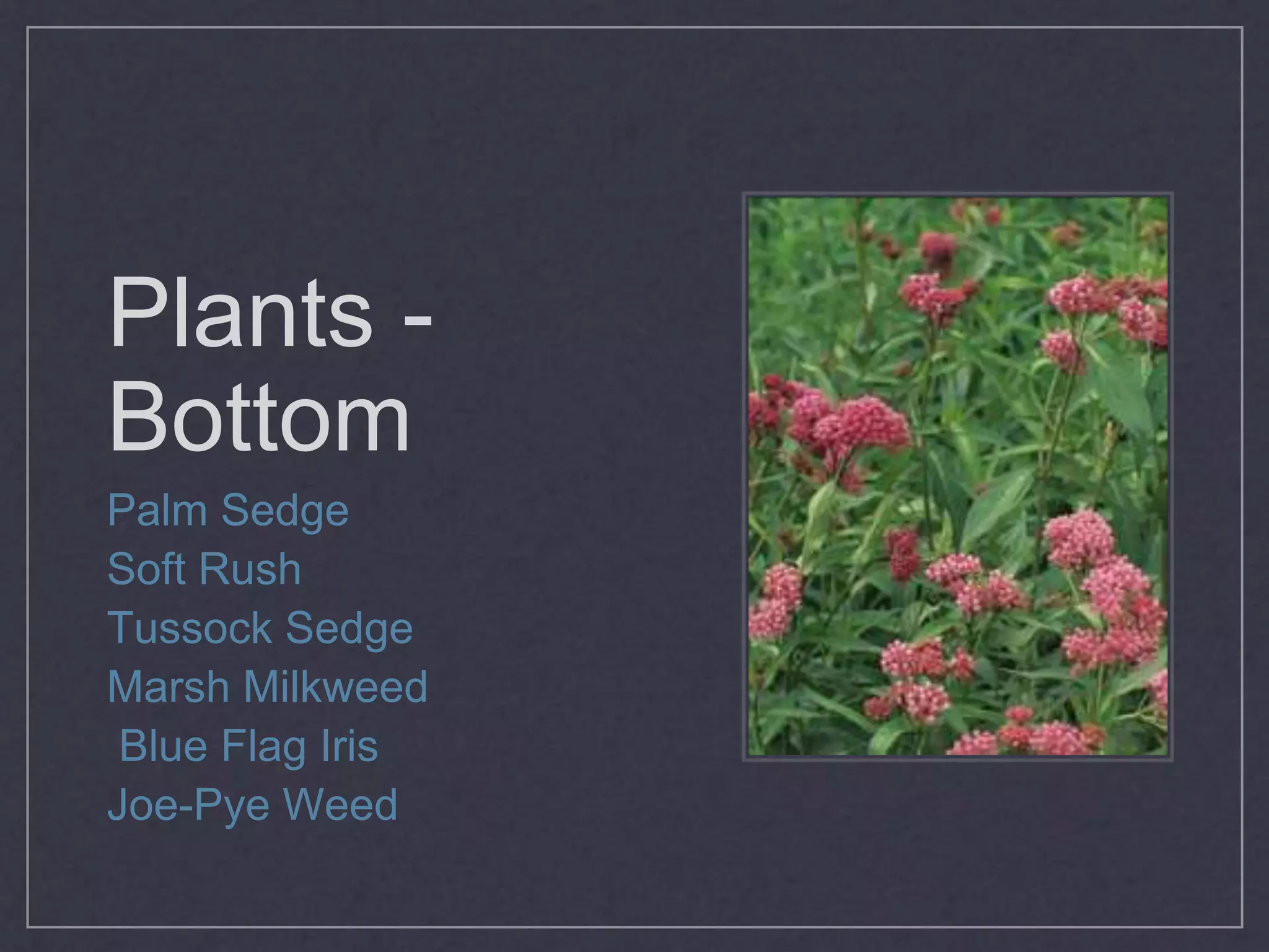 Surface AreaArea of Rain Garden (ft2) = Runoff Capture Volume (ft3) / Average Depth (ft)A=V/D(average)