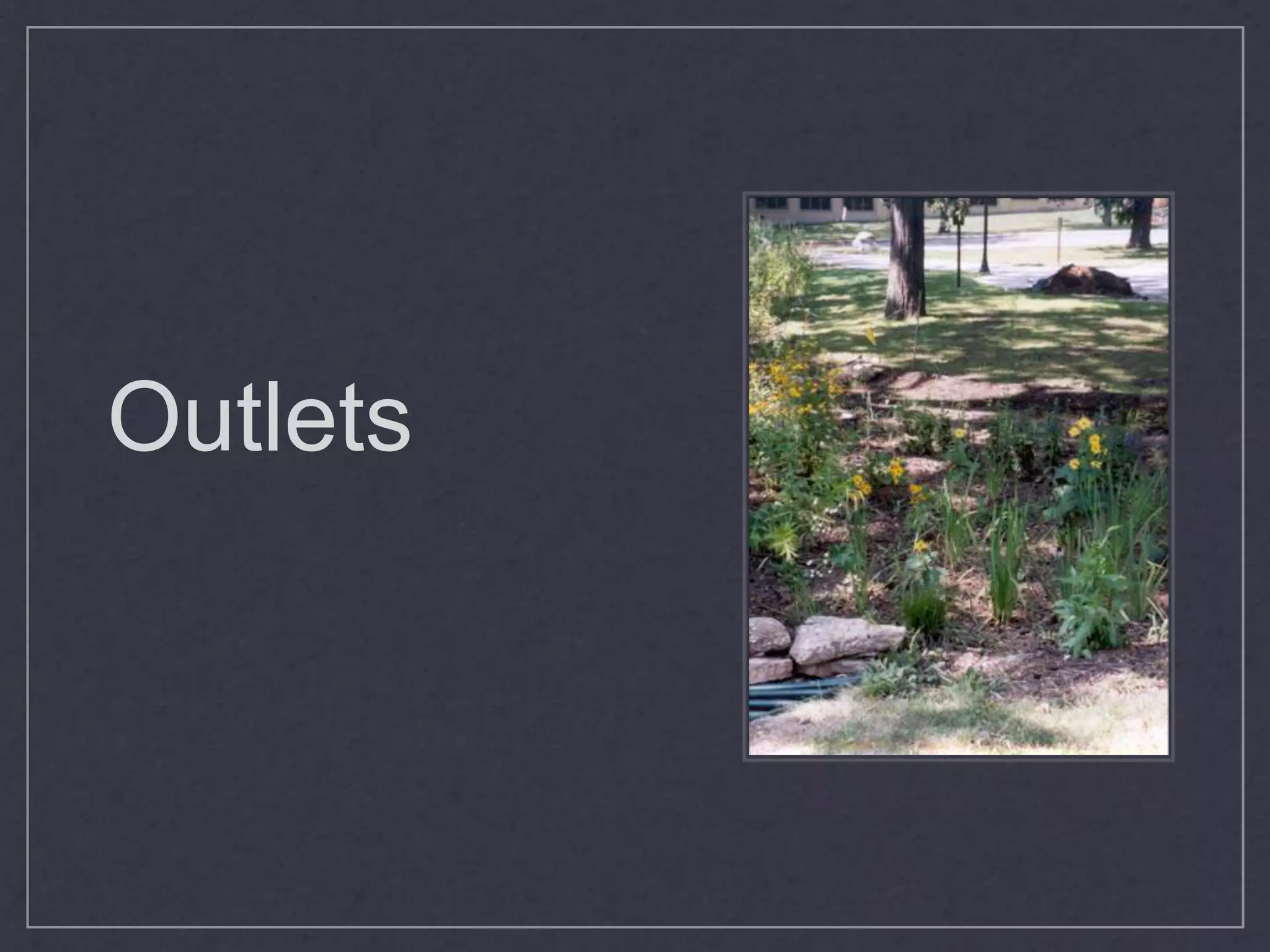 Plants - EdgesButterfly MilkweedLittle BluestemAromatic Aster