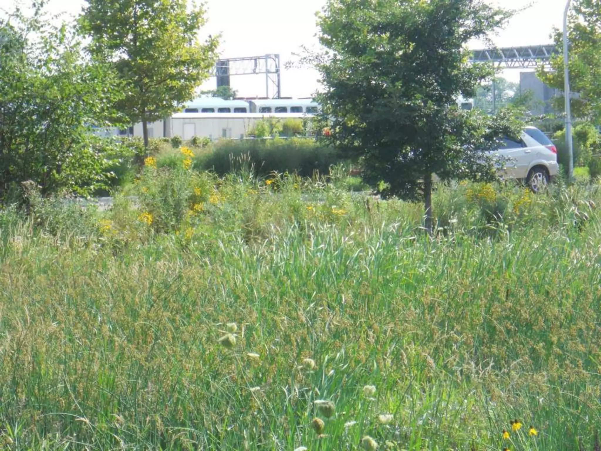 Splash BlocksPrevents Erosion and Gullies