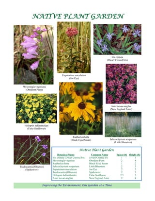 NATIVE PLANT GARDEN




                                                                                      Iris cristata
                                                                                   (Dwarf Crested Iris)




                                       Eupatorium maculation
                                             (Joe Pye)


  Physostegia virginiana
    (Obedient Plant)




                                                                                         Aster novae-angliae
                                                                                        (New England Aster)




    Heliopsis helianthoides
      (False Sunflower)


                                                  Rudbeckia hirta
                                                (Black-Eyed Susan)                      Schizachyrium scoparium
                                                                                            (Little Bluestem)


                                                         Native Plant Garden
                                   Botanical Name                    Common Name             Space (ft) Height (ft)
                              Iris cristata (Dwarf Crested Iris)   Dwarf Crested Iris            1           1
                              Physostegia virginian                Obedient Plant                2           4
                              Rudbeckia hirta                      Black-Eyed Susan              1           2
Tradescantia (Ohiensis)       Schizachyrium scoparium              Little Bluestem               2           3
     (Spiderwort)             Eupatorium maculation                Joe Pye                       2           5
                              Tradescantia (Ohiensis)              Spiderwort                    2           3
                              Heliopsis helianthoides              False Sunflower              2.5          3
                              Aster novae-angliae                  New England Aster             2           4

                     Improving the Environment, One Garden at a Time
 
