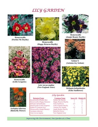 LILY GARDEN




                                                                                    Hemerocallis
    Hemerocallis                                                               (Jungle Beauty Daylily)
 (Pardon Me Daylily)
                                         Hemerocallis
                                    (Happy Returns Daylily)




                                                                                    Sedum X
                                                                               (Autumn Joy Sedum)




    Hemerocallis
  (Little Grapette)
                                     Aster novae-angliae
                                    (New England Aster)                        Heliopsis helianthoides
                                                                                 (False Sunflower)

                                                           Lily Garden
                              Botanical Name                  Common Name             Space (ft) Height (ft)
                          Hemerocallis (Pardon Me)          Pardon Me Daylily             2         1.5
                          Hemerocallis (Happy Returns)      Happy Returns Daylily         1         1.5
                          Heliopsis helianthoides           False Sunflower              2.5         3
                          Hemerocallis (Little Grapette)    Little Grapette Daylily       1          1
                          Sedum X (Autumn Joy)              Autumn Joy Sedum             1.5         2
Asclepias tuberosa        Hemerocallis (Jungle Beauty)      Jungle Beauty Daylily         2          2
(Butterfly Flower)        Asclepias tuberosa                Butterfly Flower              1          2
                          Aster novae-angliae               New England Aster             2          4


                      Improving the Environment, One Garden at a Time
 