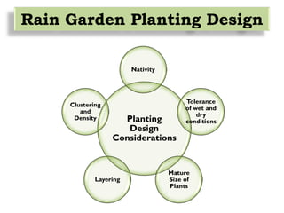Planting
Design
Considerations
Nativity
Tolerance
of wet and
dry
conditions
Mature
Size of
Plants
Layering
Clustering
and
Density
Rain Garden Planting Design
 